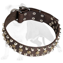 Leather dog collar with rust-resistant fittings