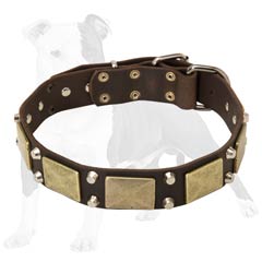 Leather dog collar with non-rusting details
