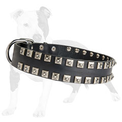 Stylish Dog Collar Made of Genuine Leather