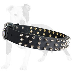 Non-rusting leather collar with nickel spikes