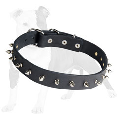 Leather dog collar with nickel plated spikes