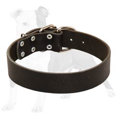Best to fit leather dog collar