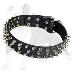 Special strong flexible leather collar