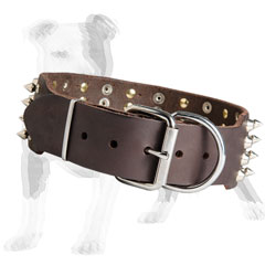 Brown leather dog collar with nickel plated hardware