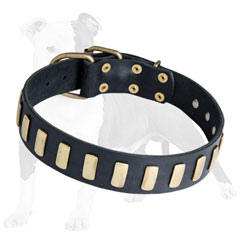 Walking Leather Dog Collar with Vertical Plates