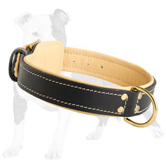 Stitched Leather Dog Collar