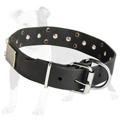 Leather Dog Collar of War Style