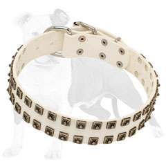Studded Leather Dog Collar
