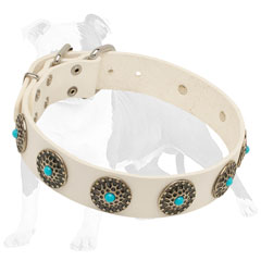 Studded Dog Collar Made of White Leather