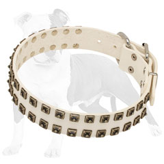 Trendy Leather Dog Collar with Hand Riveted Studs