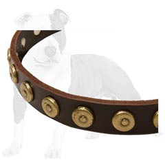 Durable leather dog collar with decorations