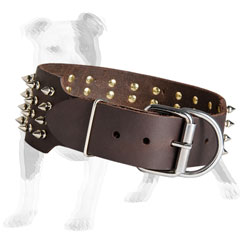 Sturdy leather dog collar with classic fittings