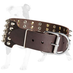 Durable leather collar with nickel buckle and D-ring