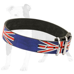 Leather dog collar with steel nickel plated fittings