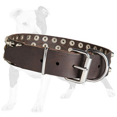 Walking Leather dog collar with 3 rows of studs