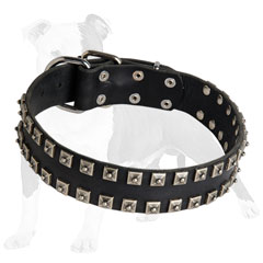 Fashion Leather Dog Collar with Studs
