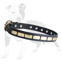 Walking Leather Dog Collar