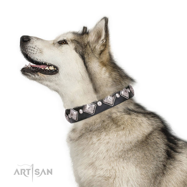 Basic training embellished dog collar of durable natural leather
