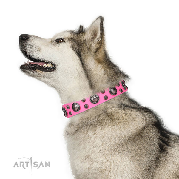 Fancy walking adorned dog collar of durable leather