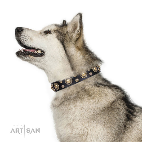 Everyday use decorated dog collar of best quality genuine leather