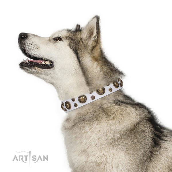 Comfortable wearing adorned dog collar of top notch material