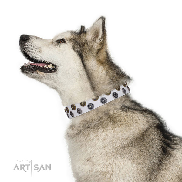 Basic training embellished dog collar of strong material