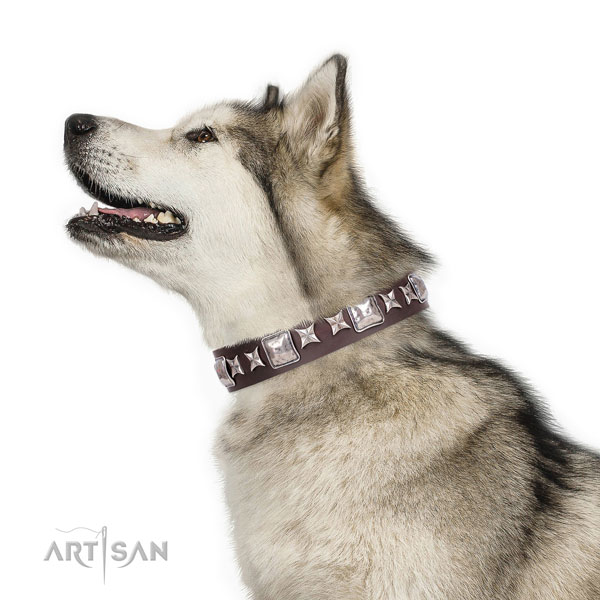 Daily use decorated dog collar of high quality material