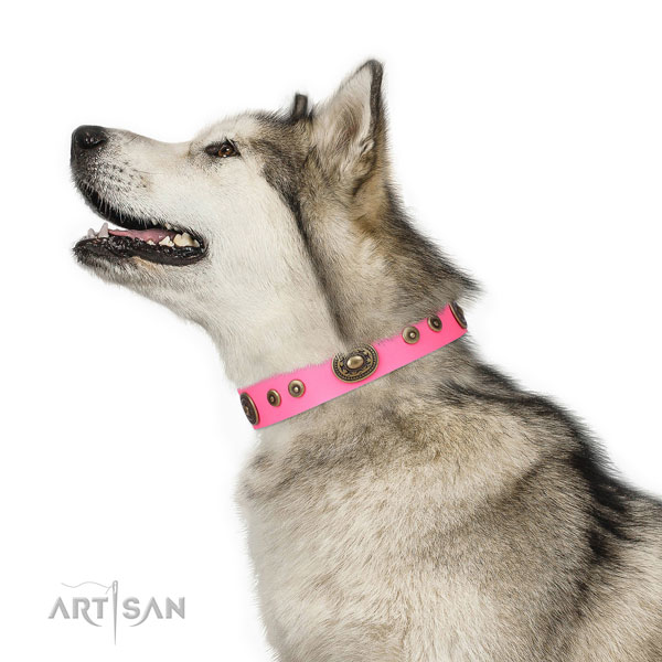 Incredible decorated natural leather dog collar for comfortable wearing