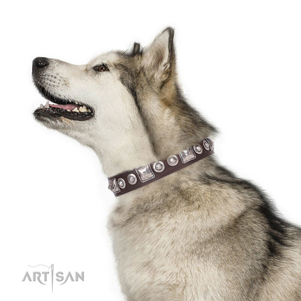 Stylish adorned genuine leather dog collar for daily use