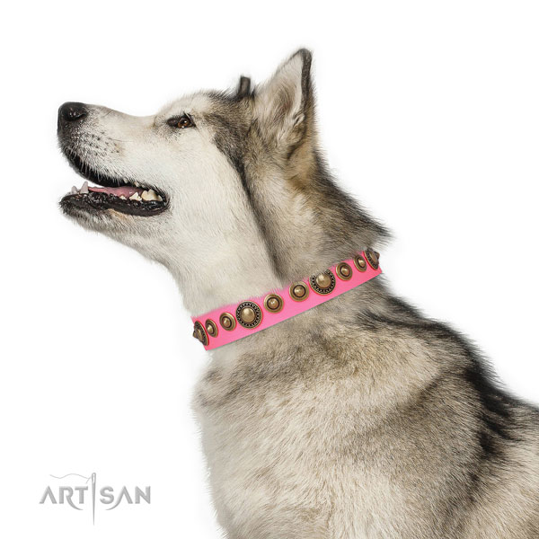 Corrosion resistant buckle and D-ring on natural leather dog collar for daily walking