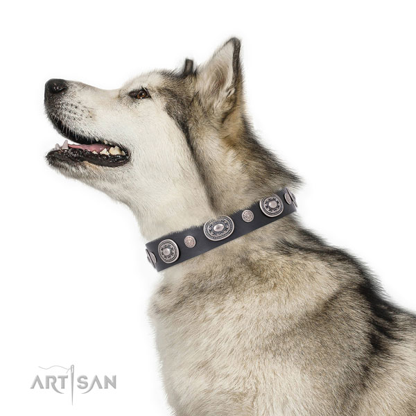 Rust resistant buckle and D-ring on full grain leather dog collar for everyday use