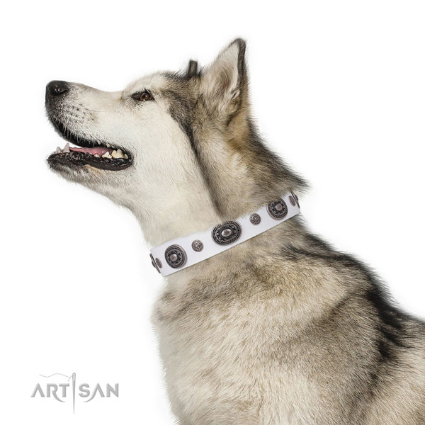 Natural leather dog collar with rust resistant buckle and D-ring for easy wearing