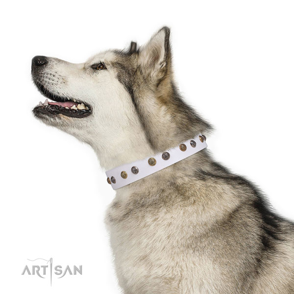 Handy use studded dog collar made of reliable natural leather