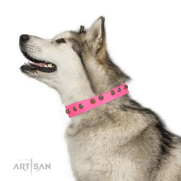 Comfortable wearing adorned dog collar made of high quality natural leather