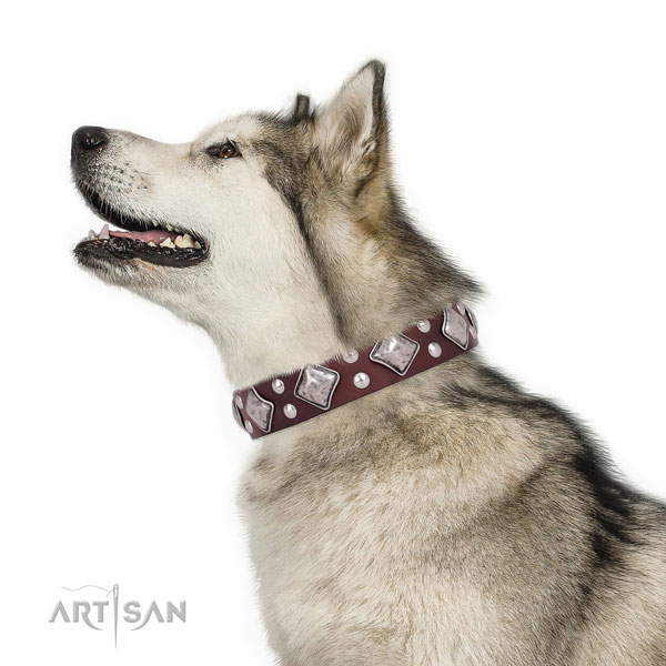 Basic training embellished dog collar made of top rate natural leather