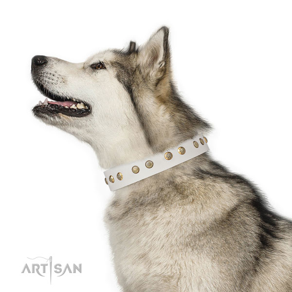 Amazing decorations on daily use full grain leather dog collar