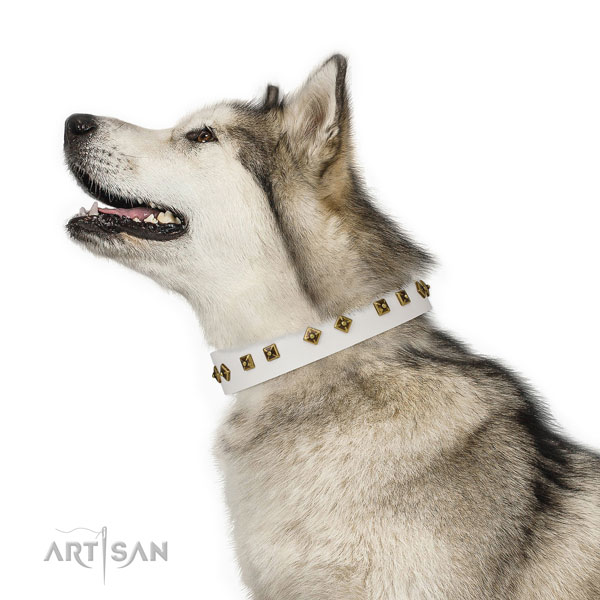 Significant studs on basic training dog collar
