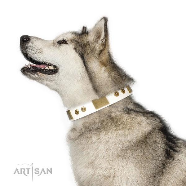 Quality stylish walking dog collar of leather