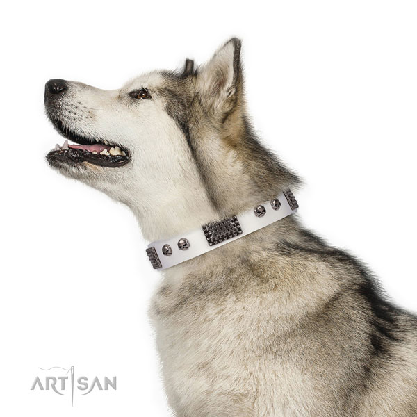 Top quality full grain genuine leather collar for your attractive pet