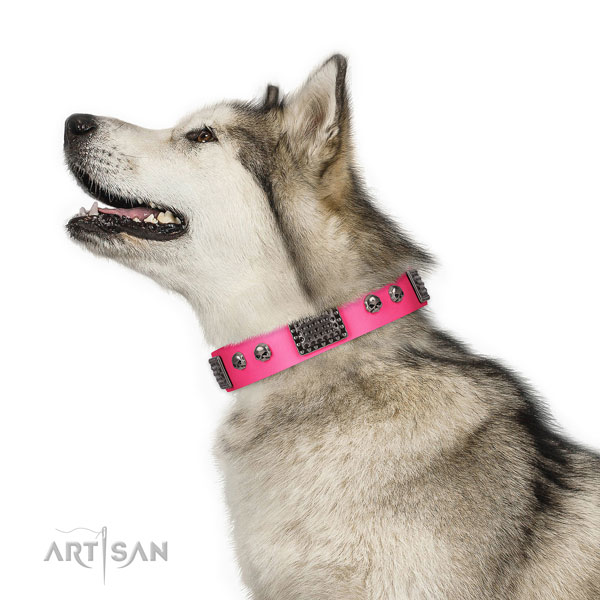 Perfect fit leather collar for your beautiful pet
