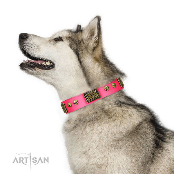 Durable fittings on genuine leather dog collar for walking