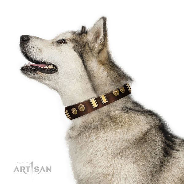 Rust-proof D-ring on full grain natural leather dog collar for walking