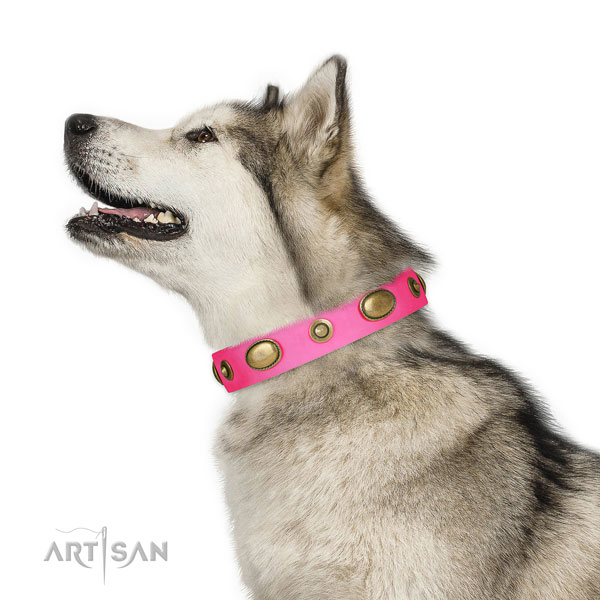 Walking dog collar of natural leather with remarkable embellishments