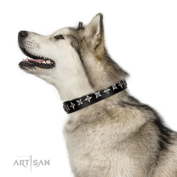 Everyday use decorated dog collar of strong leather