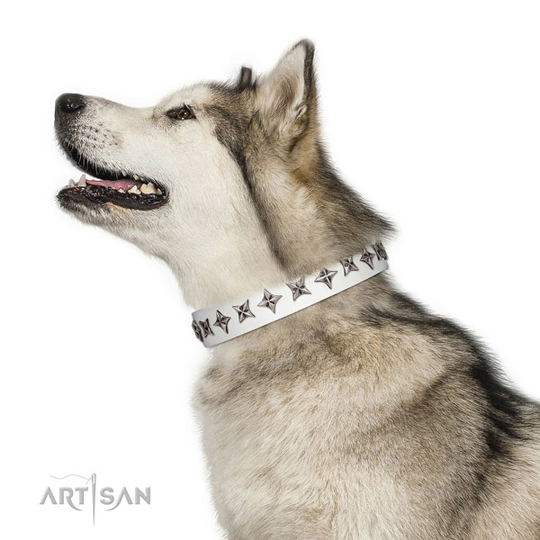Finest quality full grain natural leather dog collar with stylish design decorations