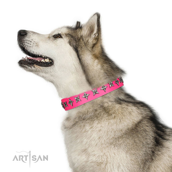 High quality full grain leather dog collar with impressive studs