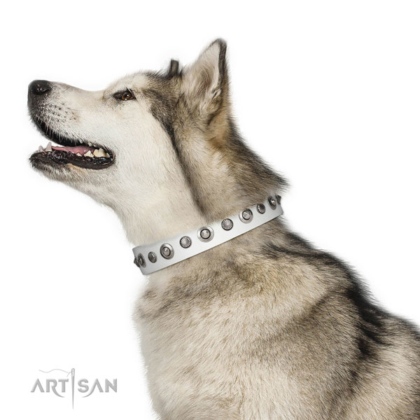 Genuine leather collar with corrosion resistant hardware for your stylish dog