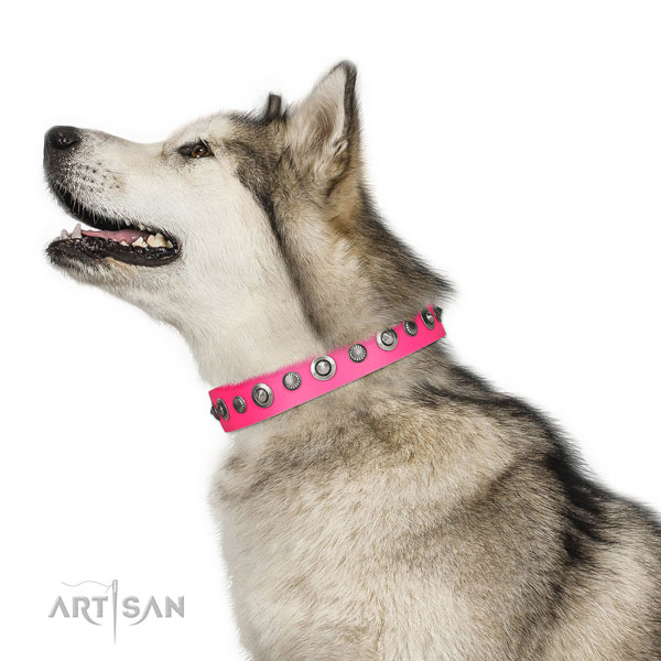 Full grain genuine leather collar with corrosion proof buckle for your beautiful pet