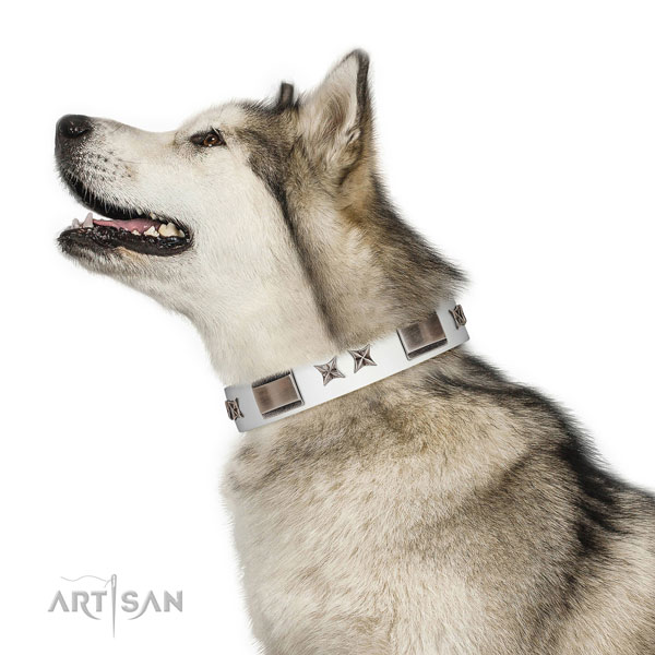 Decorated collar of leather for your impressive dog