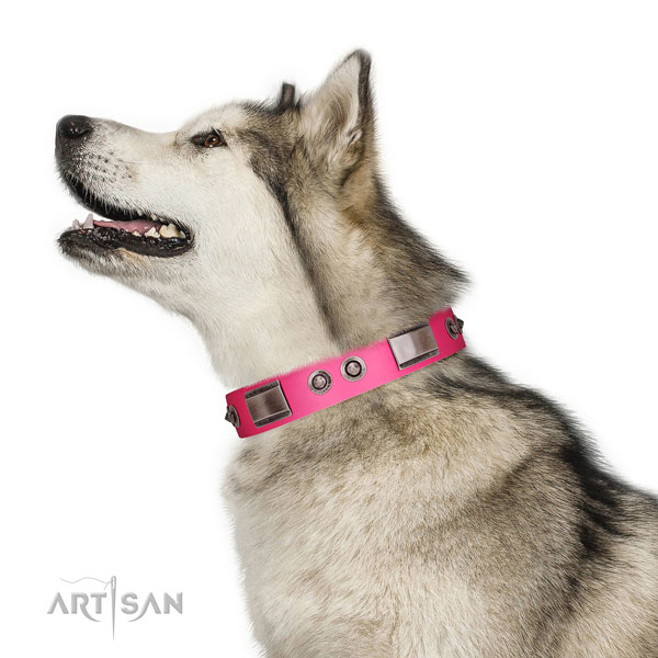 Fashionable full grain genuine leather dog collar with studs